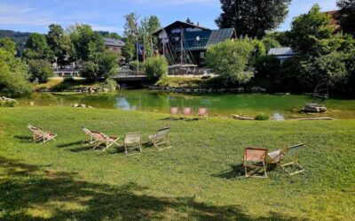 Zwischen Wind, Wasser und Gipfelblick: Ein Sommertag am Alpsee