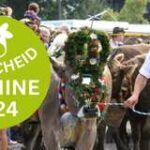 TBB-DA-Viehscheid-Termine-2024