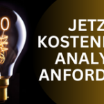 TBB_NFS_Seo-analyse