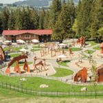 Abenteuer Spielplatz der Alpsee Bergwelt am Alpsee in Immenstadt