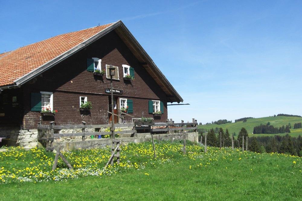 Grünten Alpe Metze-Berg