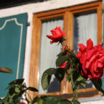 Gästehäuser/ Pensionen im Allgäu am Alpsee