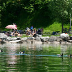 Baden am Alpsee im Allgäu