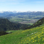 Ausblick vom Burgberger Hörnle