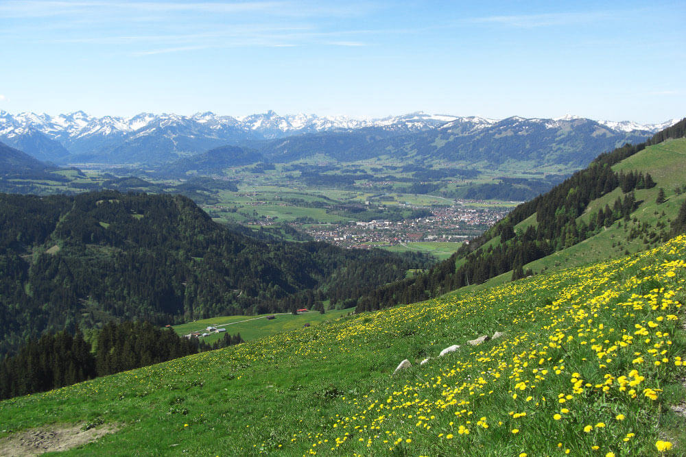 Ausblick vom Burgberger Hörnle