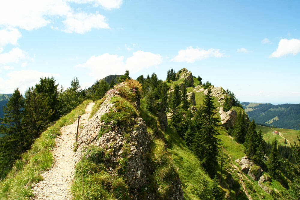 Zwischen Mittag und Steineberg